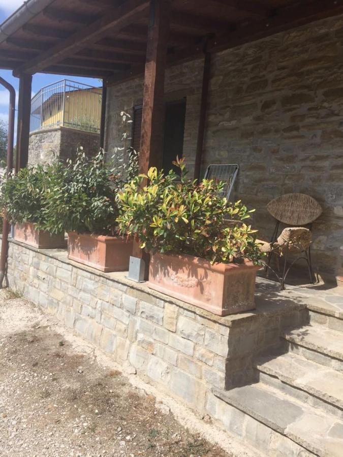 Agriturismo Cailuca Pietralunga Kültér fotó