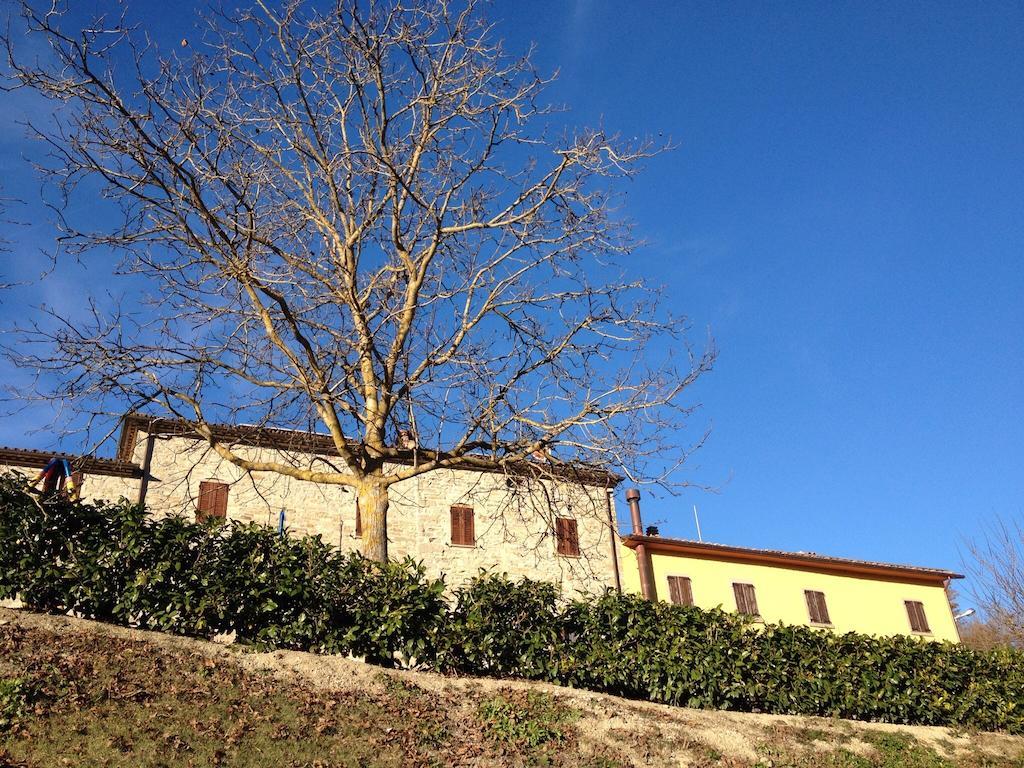 Agriturismo Cailuca Pietralunga Kültér fotó